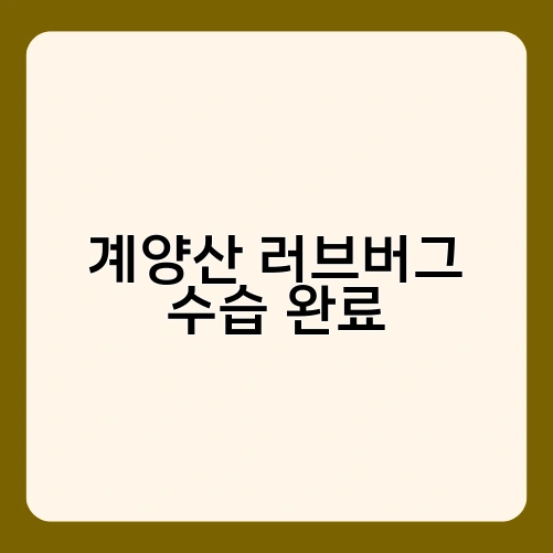 계양산 러브버그 수습 완료 2