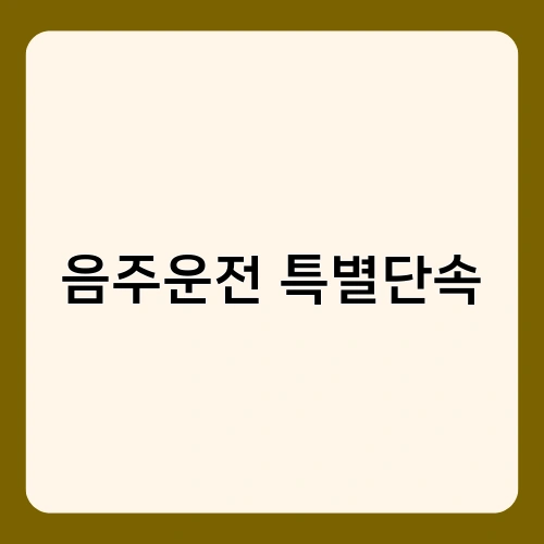 음주운전 특별단속 1