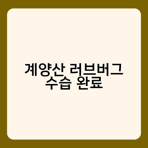 계양산 러브버그 수습 완료