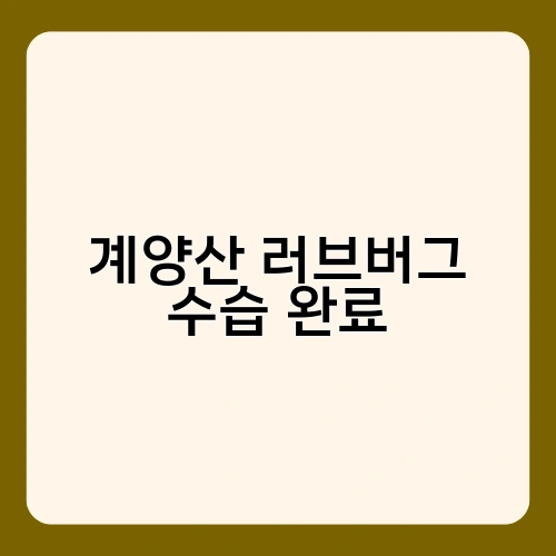 계양산 러브버그 수습 완료 3