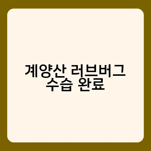 계양산 러브버그 수습 완료 1