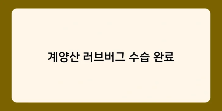 계양산 러브버그 수습 완료, 안전한 등산로는 어떻게 복구되었나?