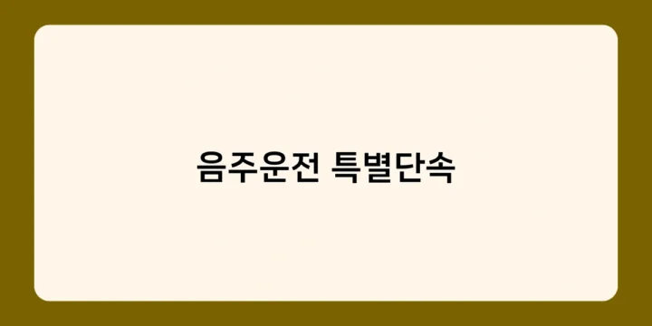 음주운전 특별단속, 언제 어떻게 이뤄지나요? 단속 시기와 방법 총정리