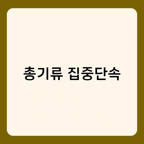 총기류 집중단속 1