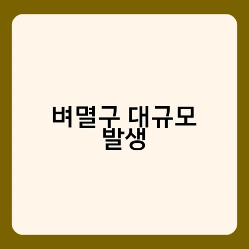 벼멸구 대규모 발생 4