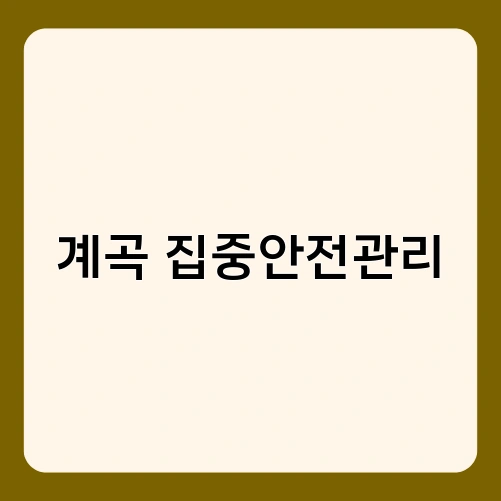 계곡 집중안전관리