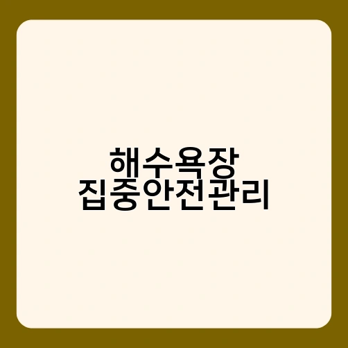 해수욕장 집중안전관리