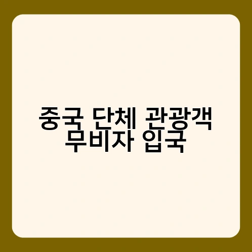 중국 단체 관광객 무비자 입국 1