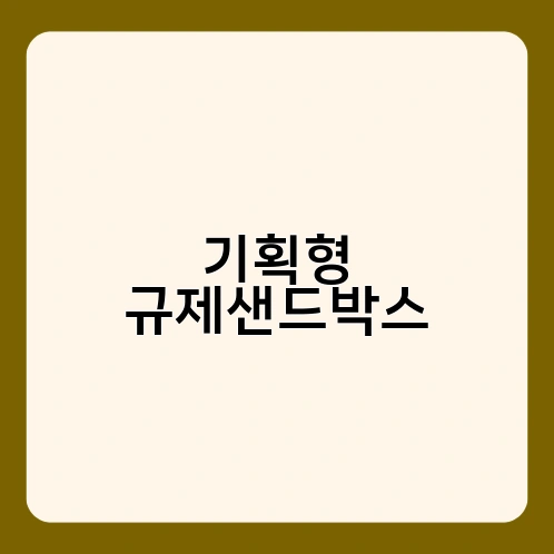 기획형 규제샌드박스 3