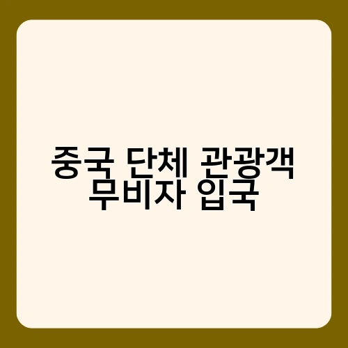 중국 단체 관광객 무비자 입국 2