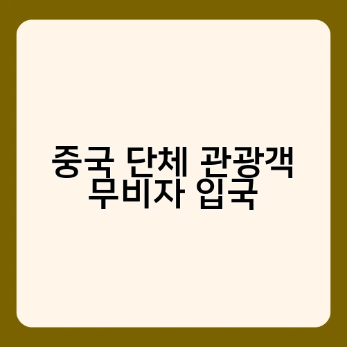 중국 단체 관광객 무비자 입국 3