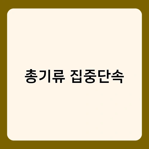 총기류 집중단속