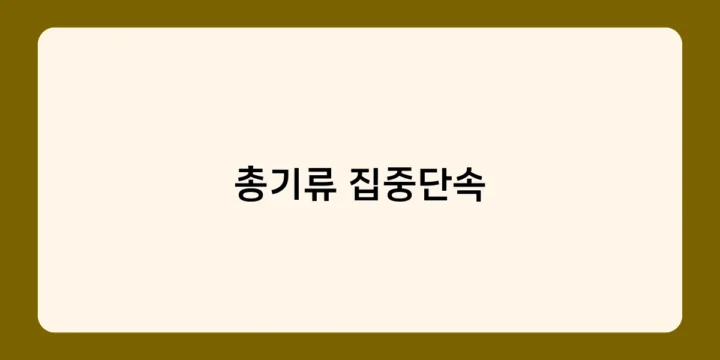 총기류 집중단속 어떻게 이뤄질까? 경찰·관세청 단속 방법은?