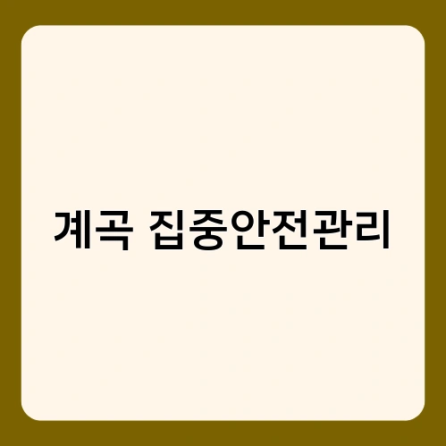 계곡 집중안전관리 1
