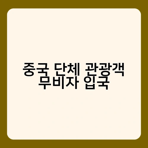 중국 단체 관광객 무비자 입국