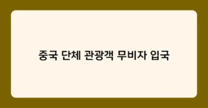중국 단체 관광객 무비자 입국 썸네일
