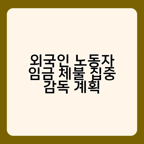 외국인 노동자 임금 체불 집중 감독 계획 3