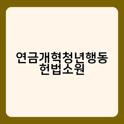 연금개혁청년행동 헌법소원