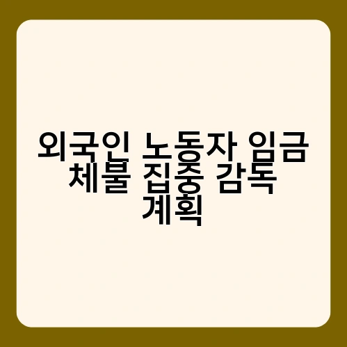 외국인 노동자 임금 체불 집중 감독 계획