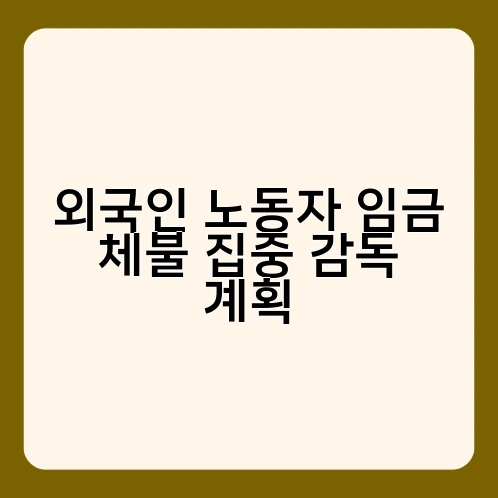 외국인 노동자 임금 체불 집중 감독 계획 1